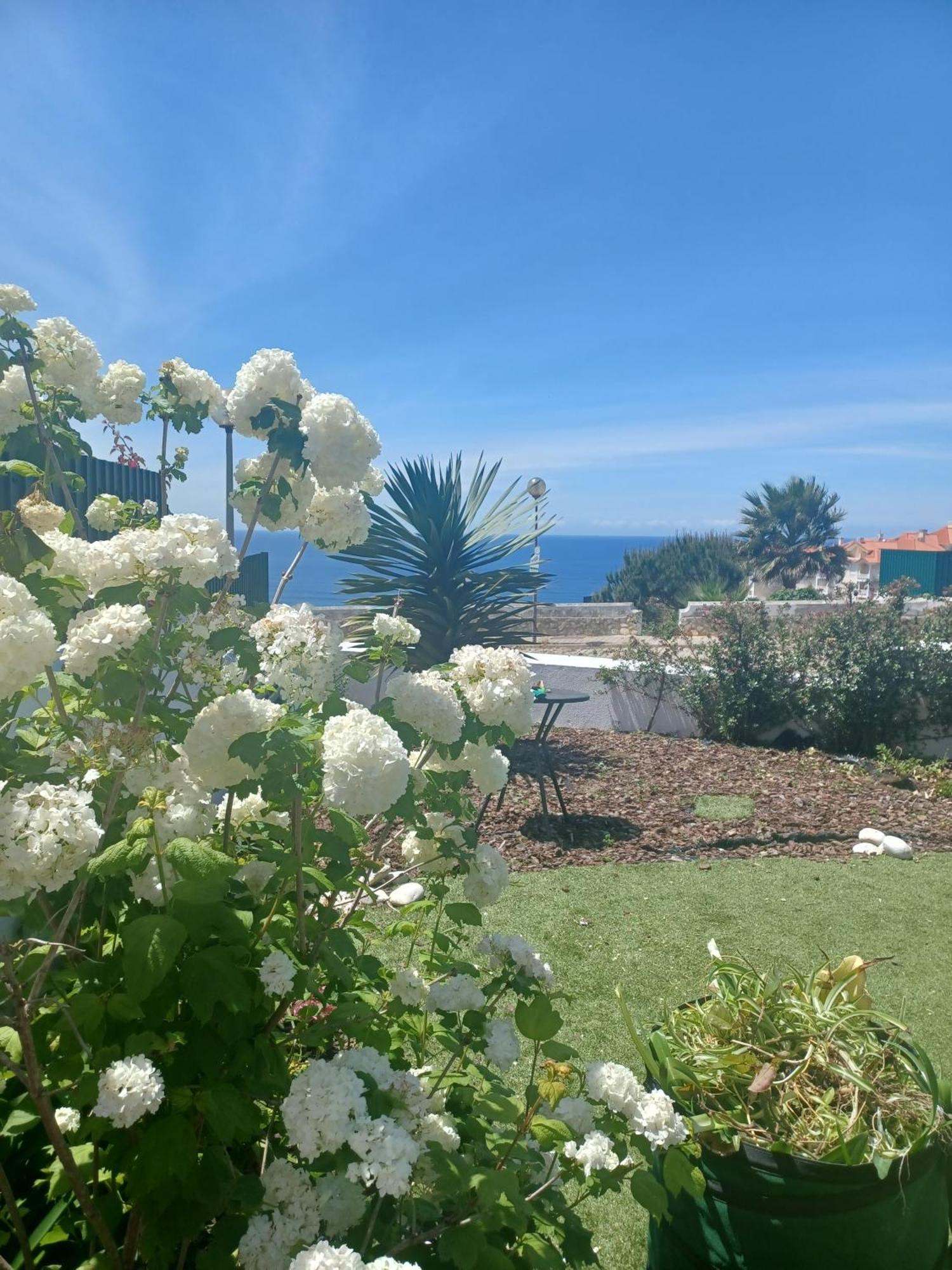 Ericeira Su Villa'S Luaran gambar