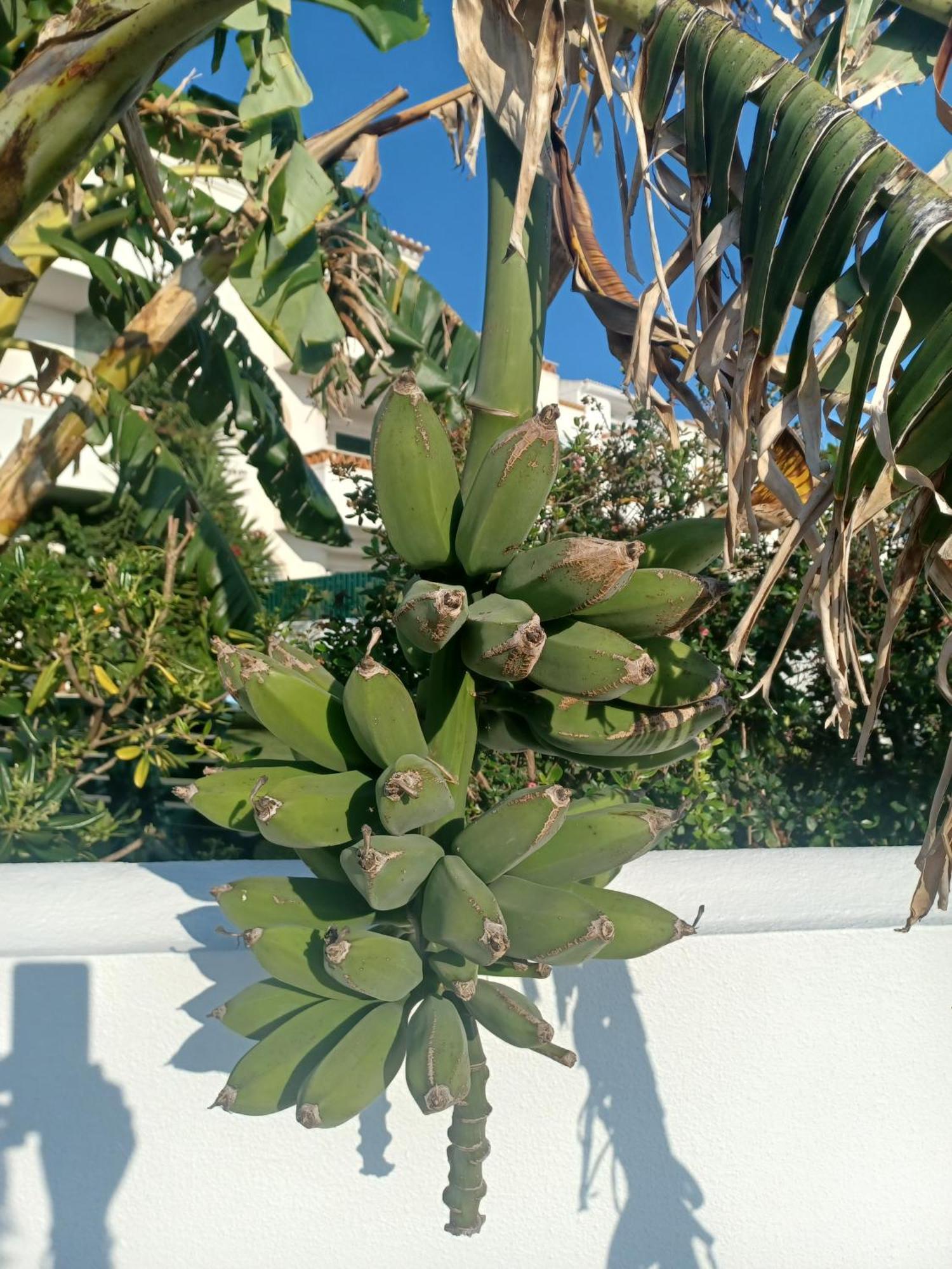 Ericeira Su Villa'S Luaran gambar